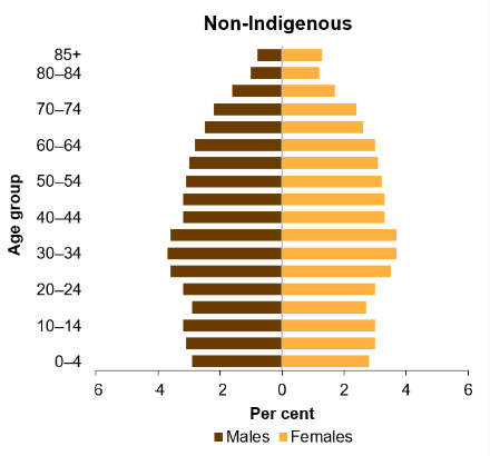 The second bar chart shows that for non-Indigenous Australians, the largest proportion of population is among those in the 25–29, 30–34 and 35–39 age groups. Comparison of the two charts shows that the First Nations population has a younger age profile than the non-Indigenous population. 